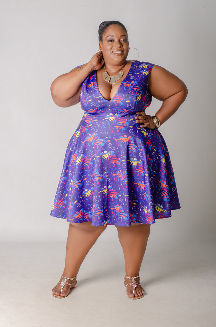 Firecracker Skater Dress