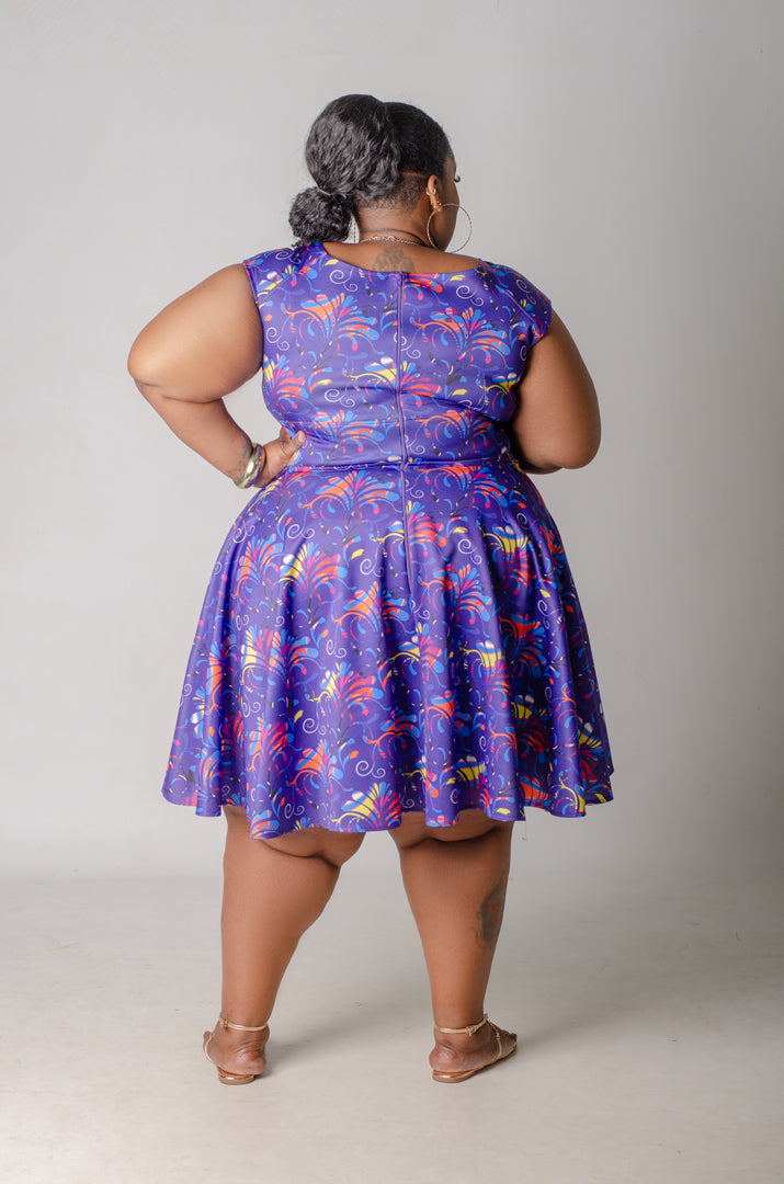 Firecracker Skater Dress